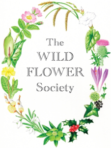 The Wildflower Society logo